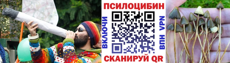 Галлюциногенные грибы мухоморы  сколько стоит  Алзамай 
